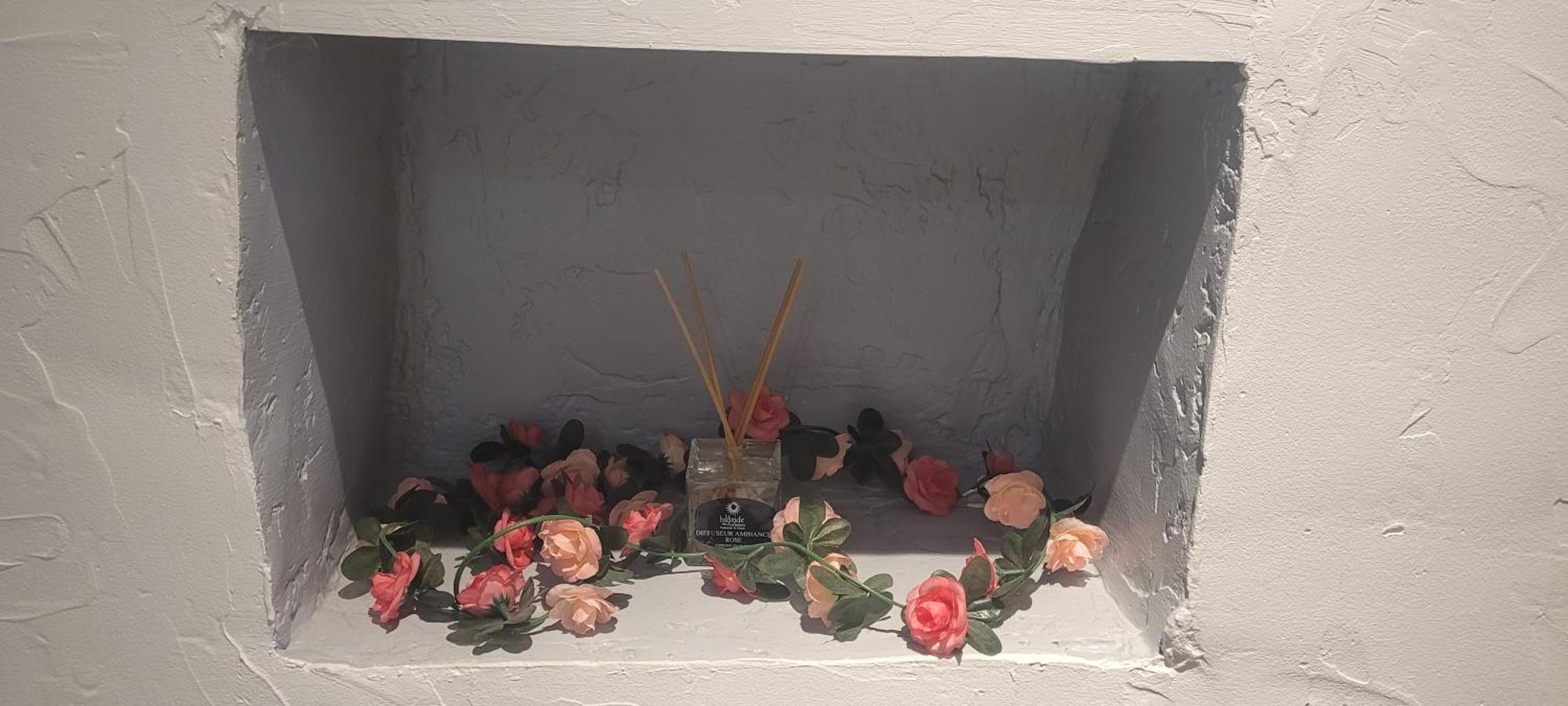 Parfum Rose Lejlighed Grasse Eksteriør billede